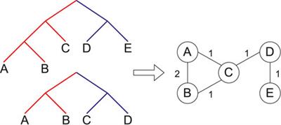 Spectral cluster supertree: fast and statistically robust merging of rooted phylogenetic trees